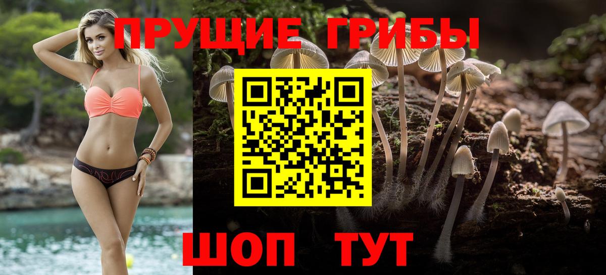 Псилоцибиновые грибы Magic Shrooms Севастополь