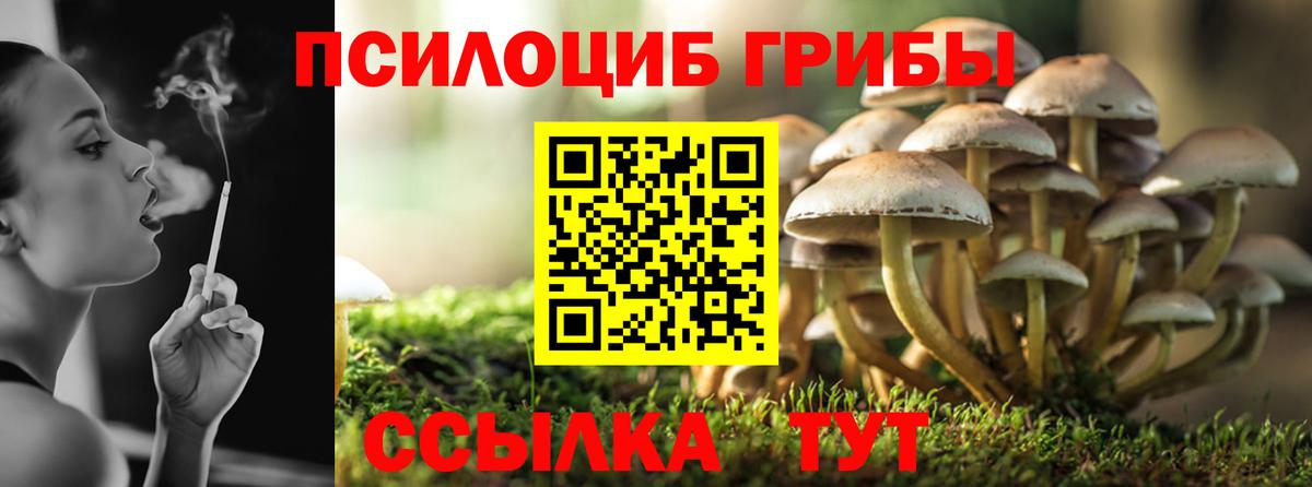Псилоцибиновые грибы Cubensis  Вход с VPN  Севастополь 